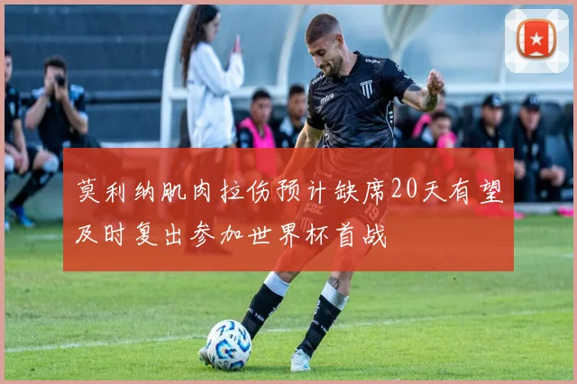 莫利纳肌肉拉伤预计缺席20天有望及时复出参加世界杯首战