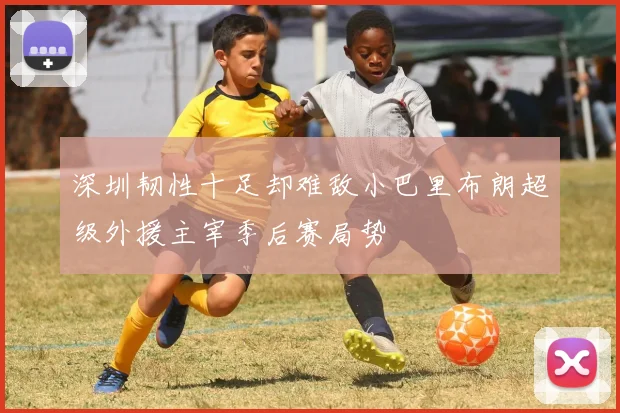 深圳韧性十足却难敌小巴里布朗超级外援主宰季后赛局势